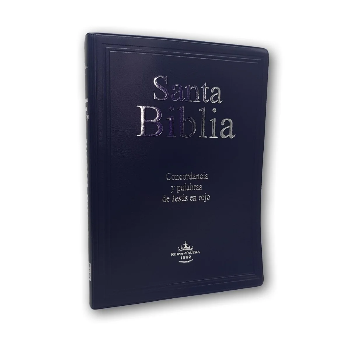 Santa Biblia RVR 1960 Letra Gigante Vinil Colores