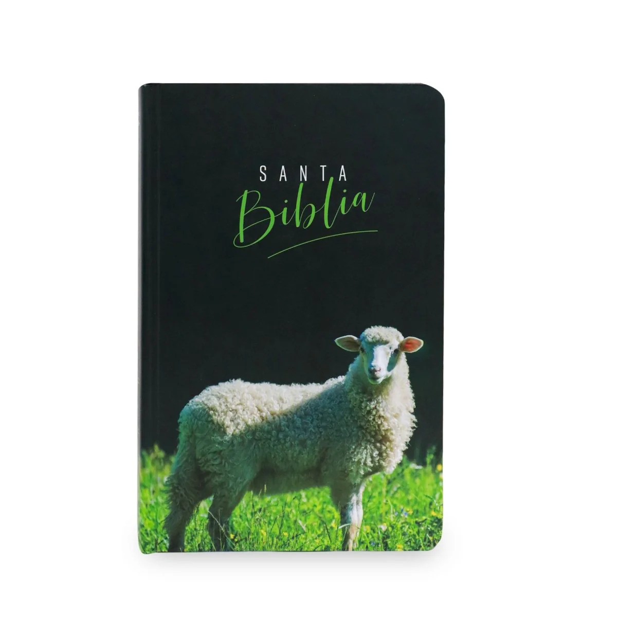 BIBLIA REINA VALERA 1960  CON LOS NOMBRES DE DIOS CORDERO TAPA DURA