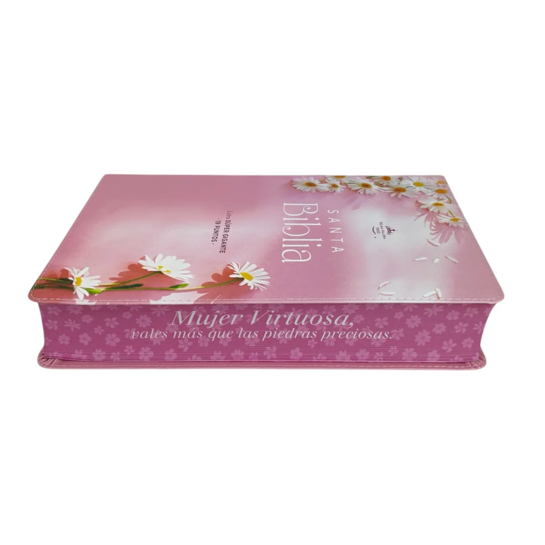 BIBLIA LETRA SÚPER GIGANTE REINA VALERA 1960 MUJER VIRTUOSA CANTO PINTADO ROSA
