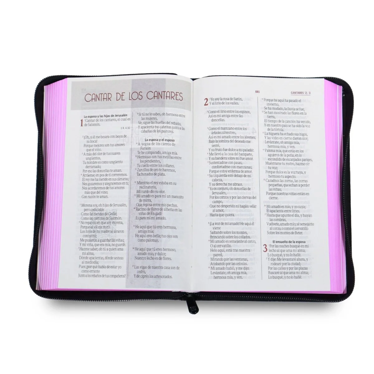 BIBLIA REINA VALERA 1960 LETRA GRANDE NEGRO FLORES CANTO FUCSIA