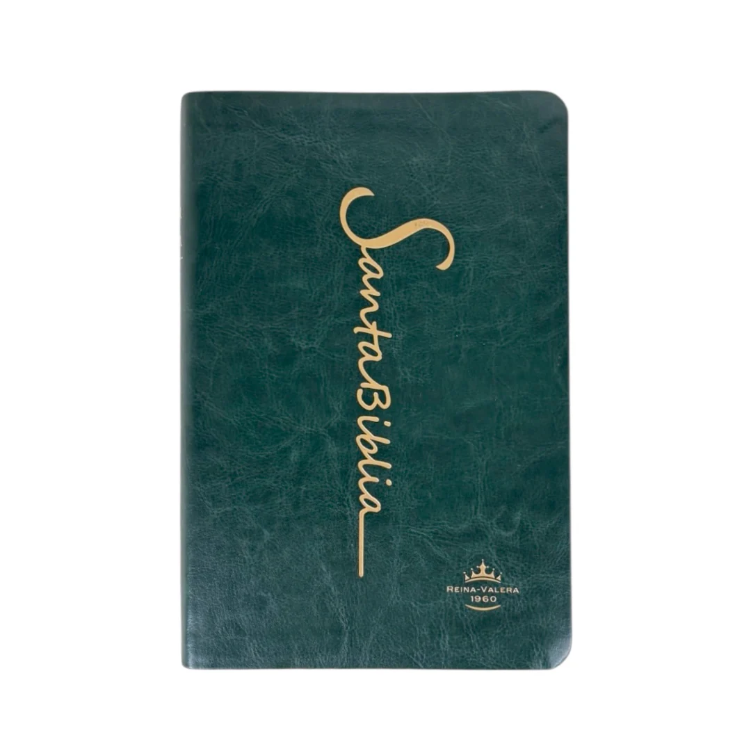 BIBLIA REINA VALERA 1960 MEDIANA LETRA GRANDE IMITACION PIEL CANTO DORADO