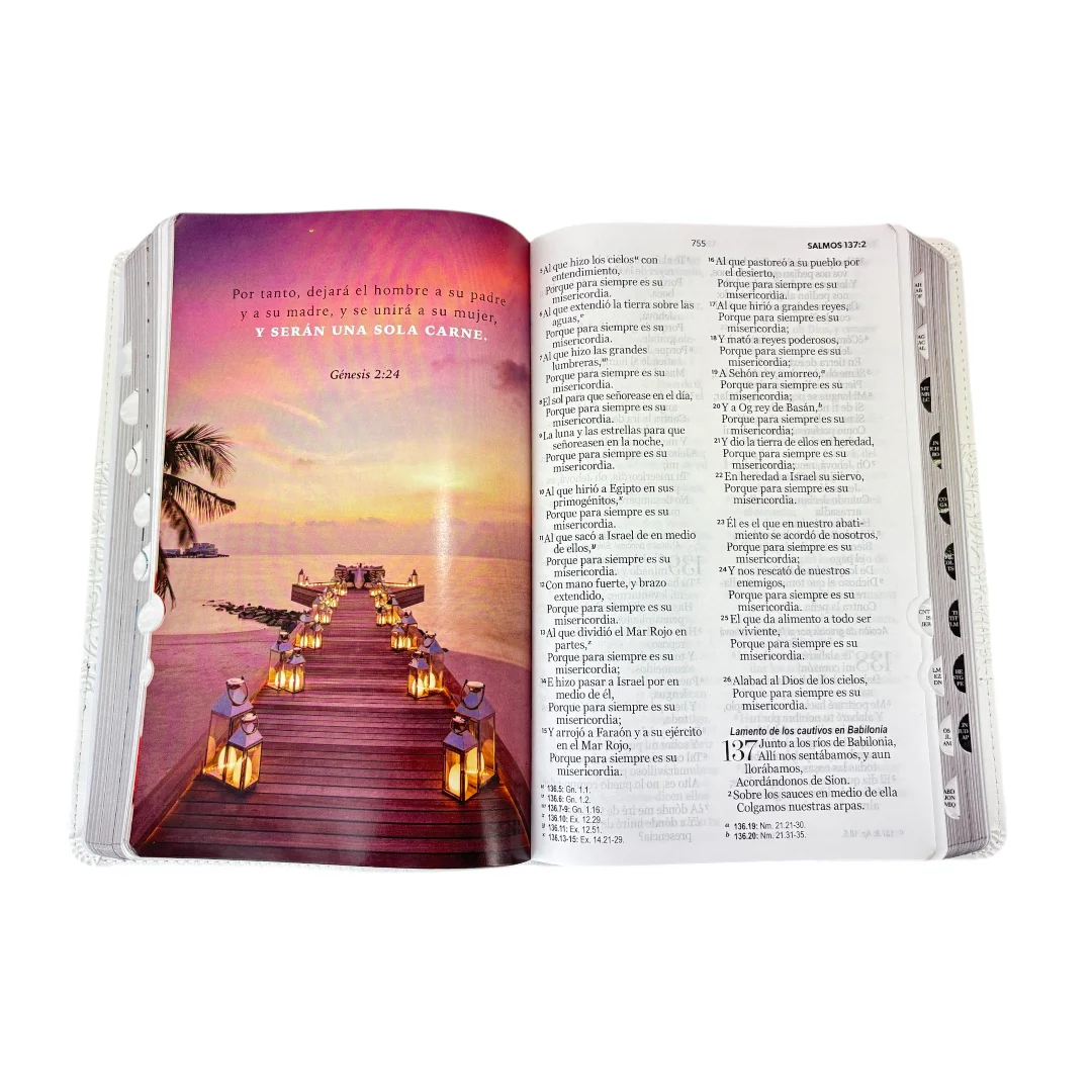 BIBLIA REINA VALERA 1960 BODA CANTO PLATA C/INDICE