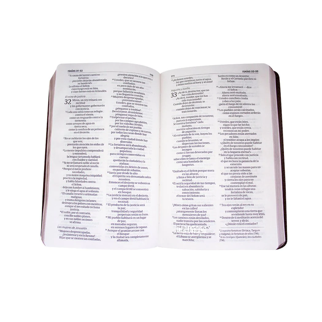 Biblia NVI Compacta Letra Grande, Piel fabricada