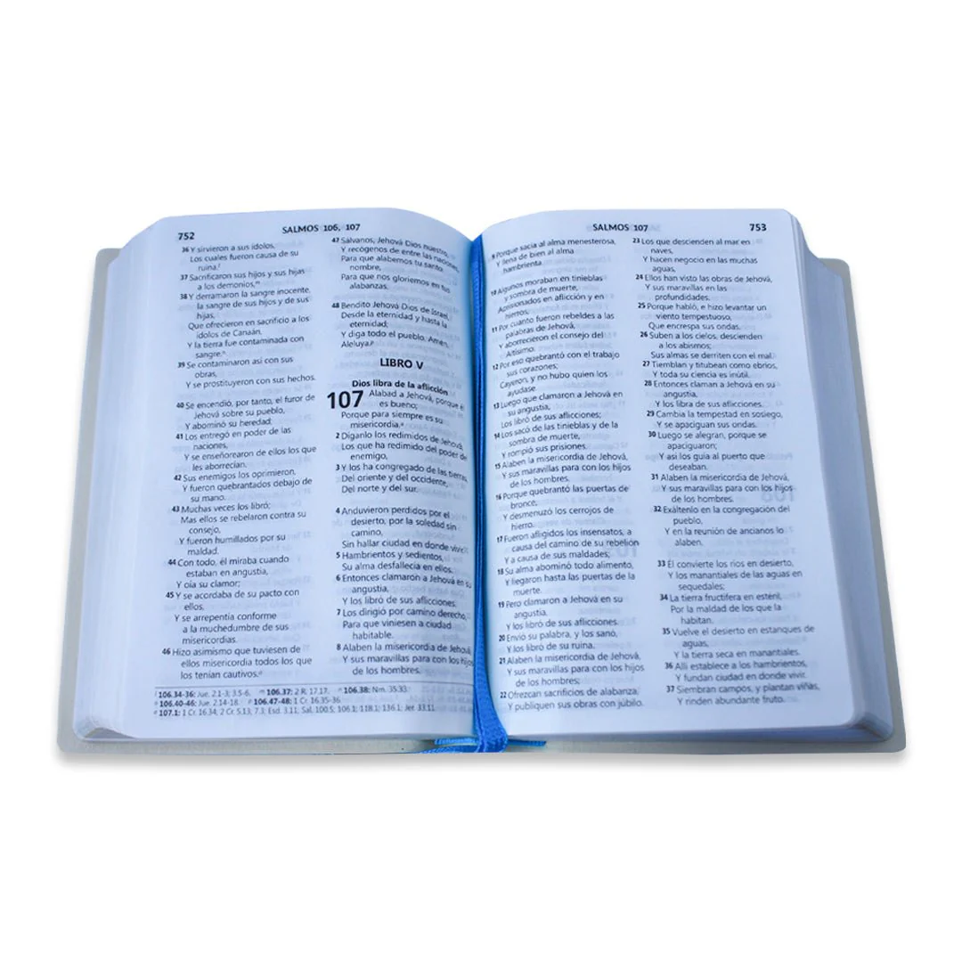 BIBLIA CHICA RVR1960 VINIL ROSA/AZUL TROQUELADA