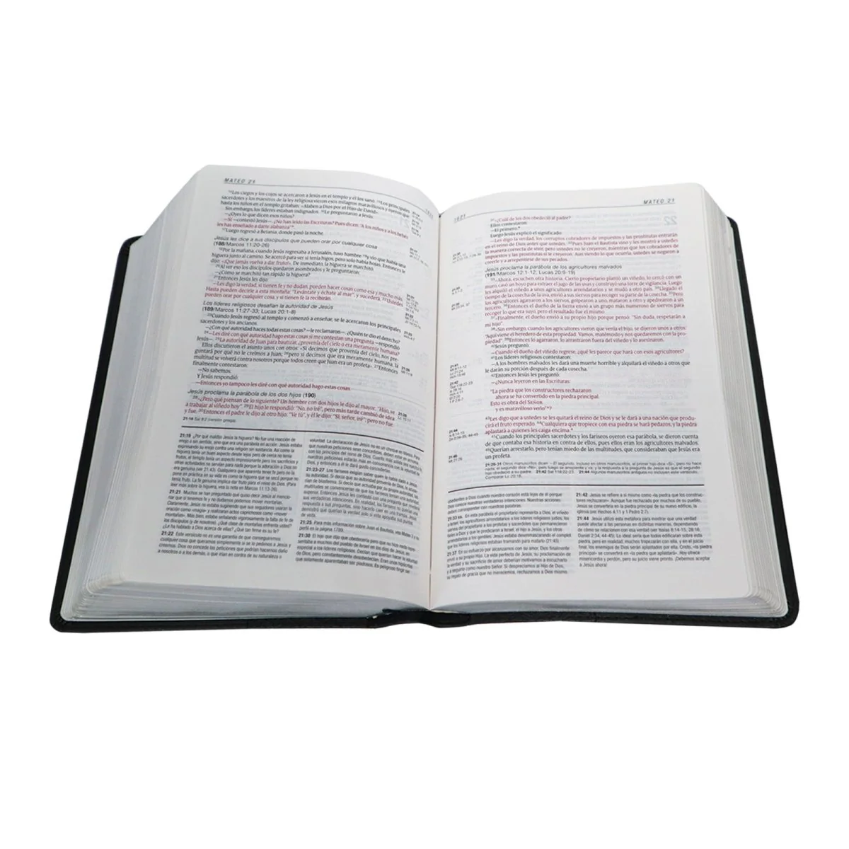 BIBLIA DE ESTUDIO NTV  DIARIO VIVIR TAMAÑO PERSONAL