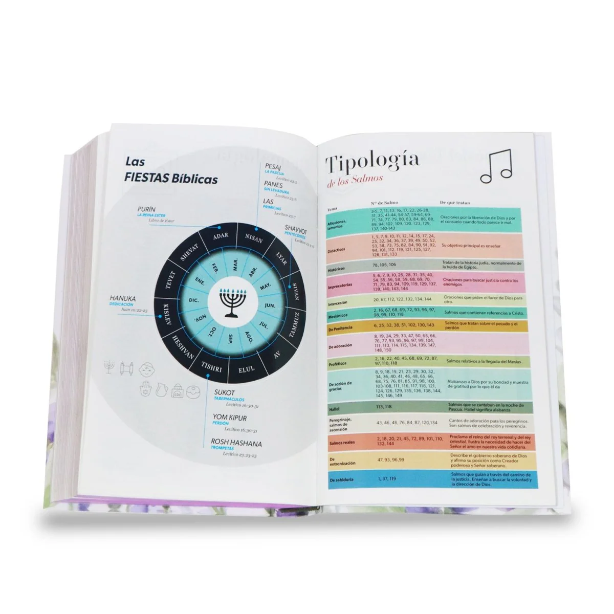 BIBLIA RVR1960 MANUAL LETRA GRANDE TAPA DURA MULTIBRISA /TELA