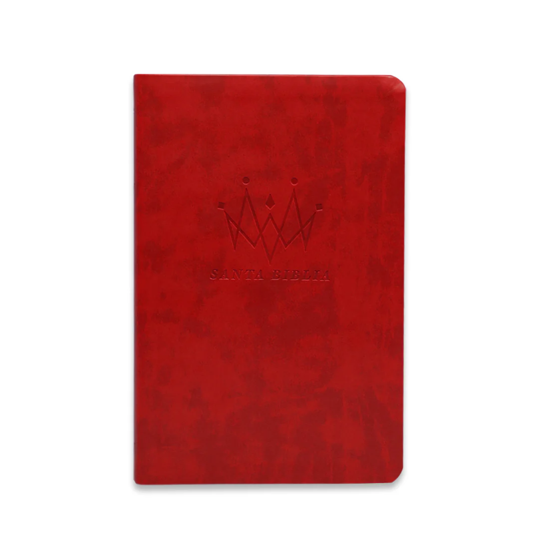 BIBLIA NTV EDICION AGAPE SENTIPIEL