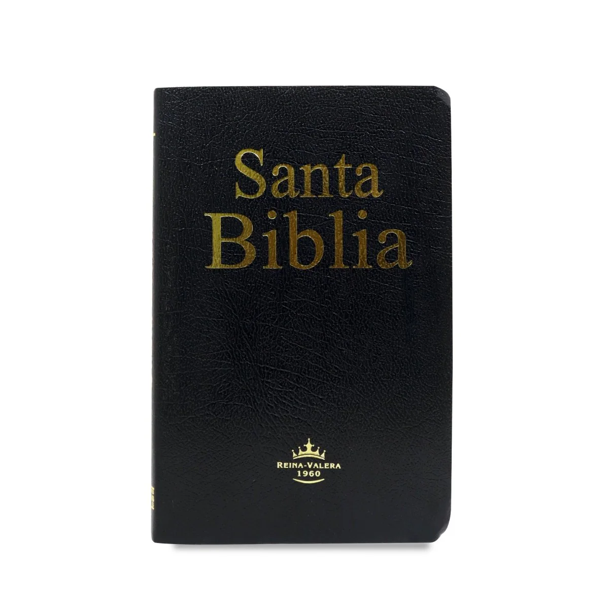 Santa Biblia Reina Valera 1960 Imitación Piel