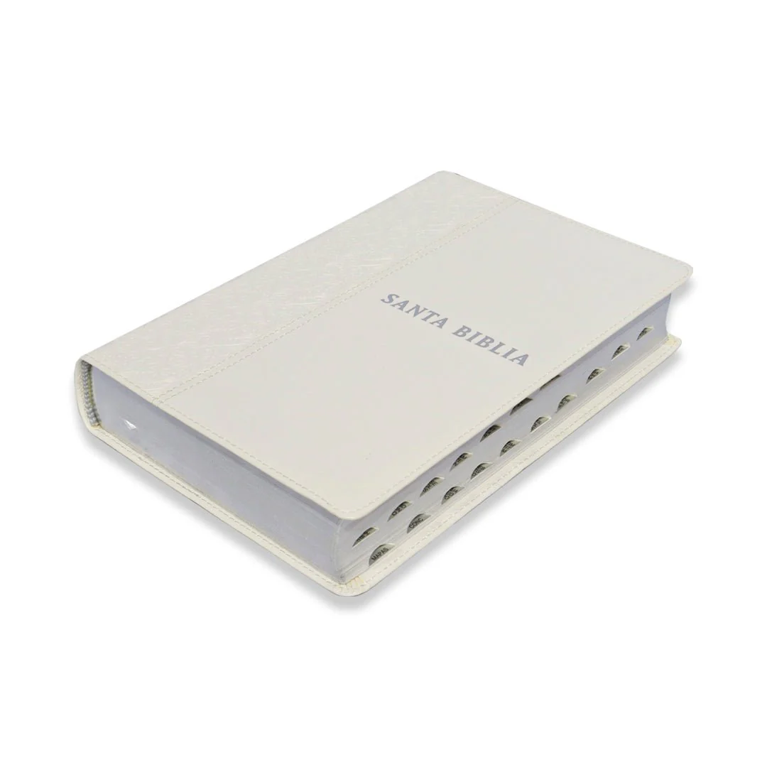 SANTA BIBLIA NTV EDICION PERSONAL LETRA GRANDE C/ INDICE