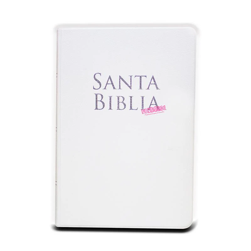 Biblia Reina Valera 1960  Letra Grande Tamaño Manual c/Referencias vinil
