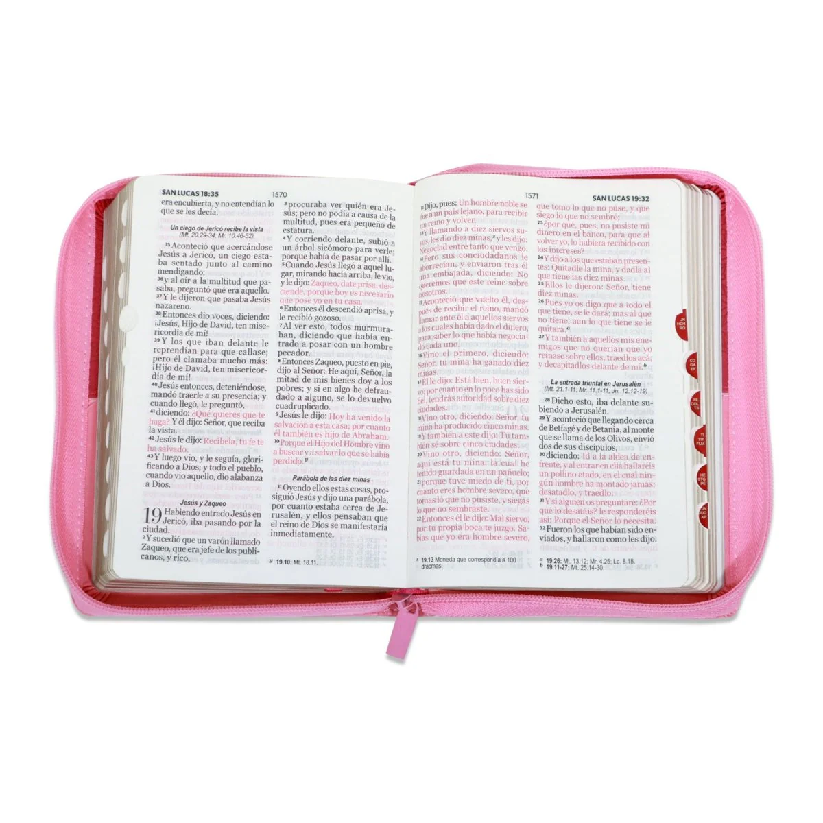 BIBLIA REINA VALERA 1960 LETRA GRANDE COMPACTA BIFLORAL