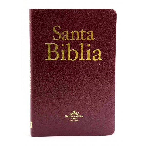 Santa Biblia Reina Valera 1960 Imitación Piel