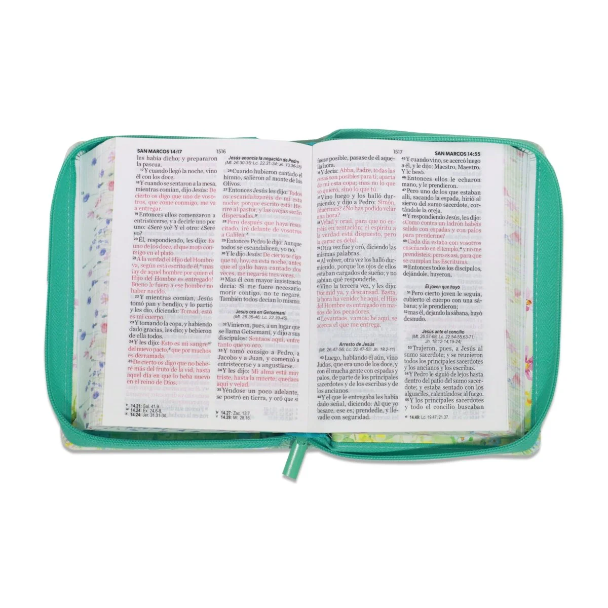 BIBLIA REINA VALERA 1960 LETRA GRANDE COMPACTA CIERRE  CANTO PINTADO