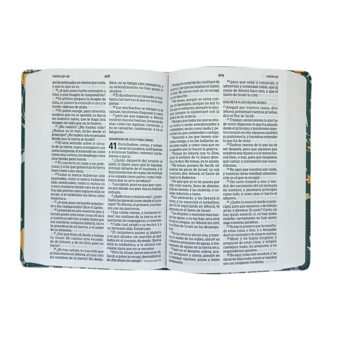 BIBLIA REINA VALERA 1960 LETRA GRANDE MANUAL VERDE FLORAL EDICIÓN ESPECIAL