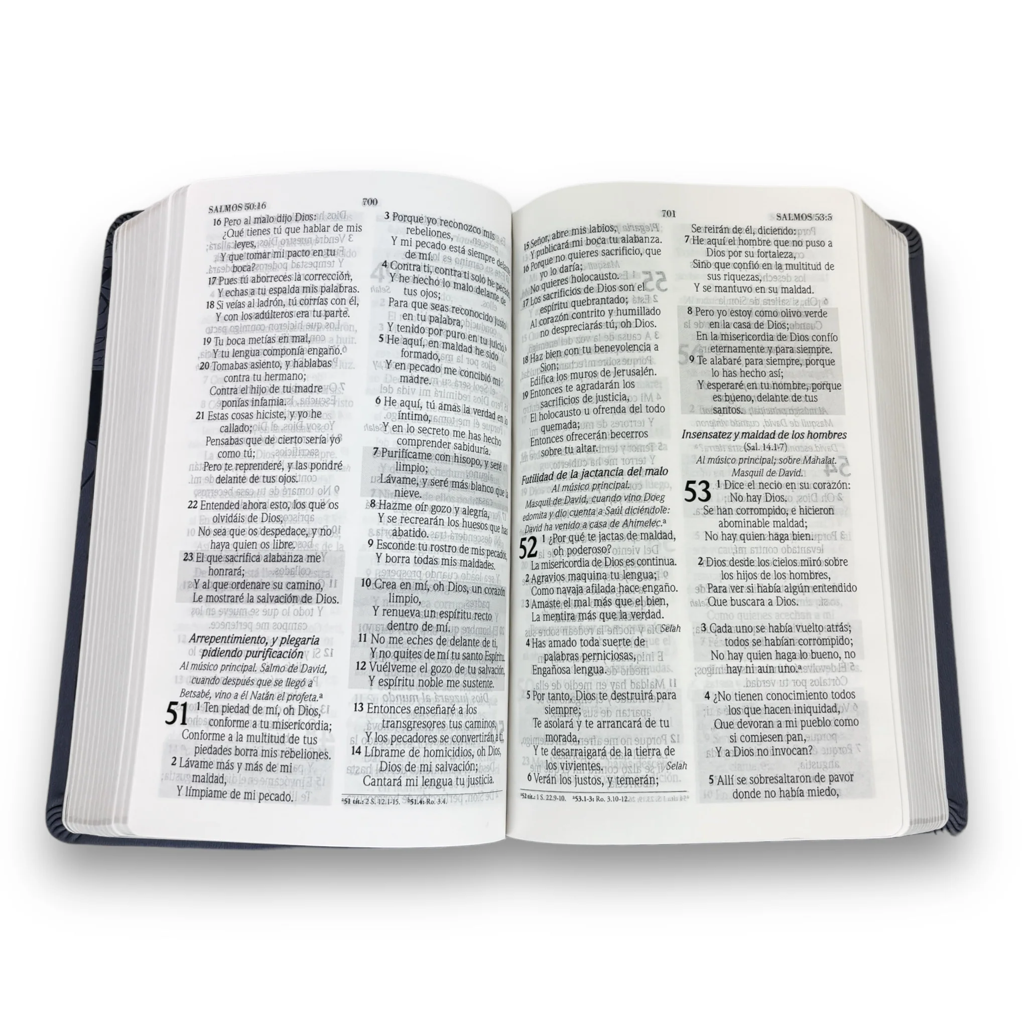 Biblia De Promesa RVR60 Tamaño Manual Piel Especial Lavanda