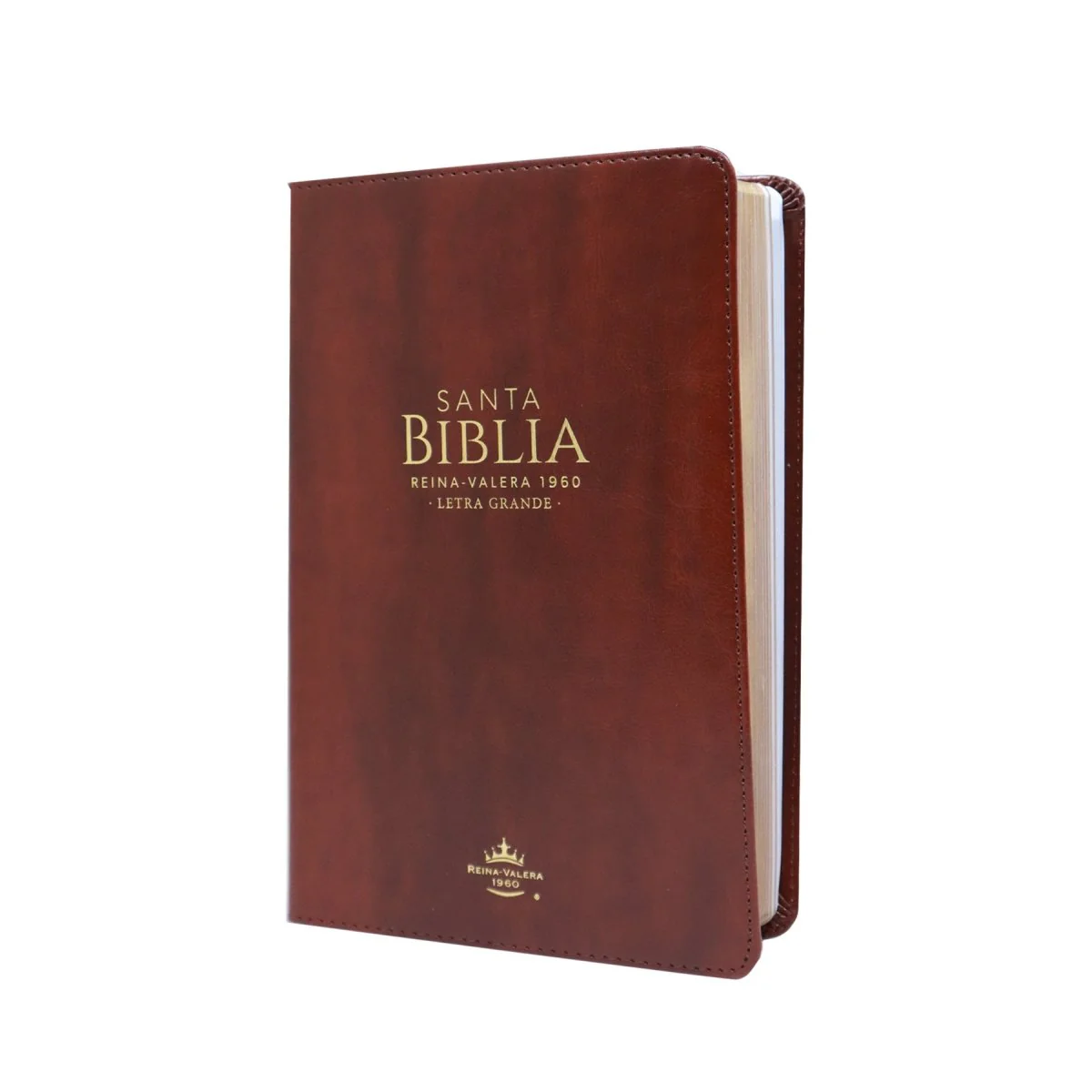 BIBLIA REINA VALERA 1960 LETRA GRANDE MANUAL CLÁSICA