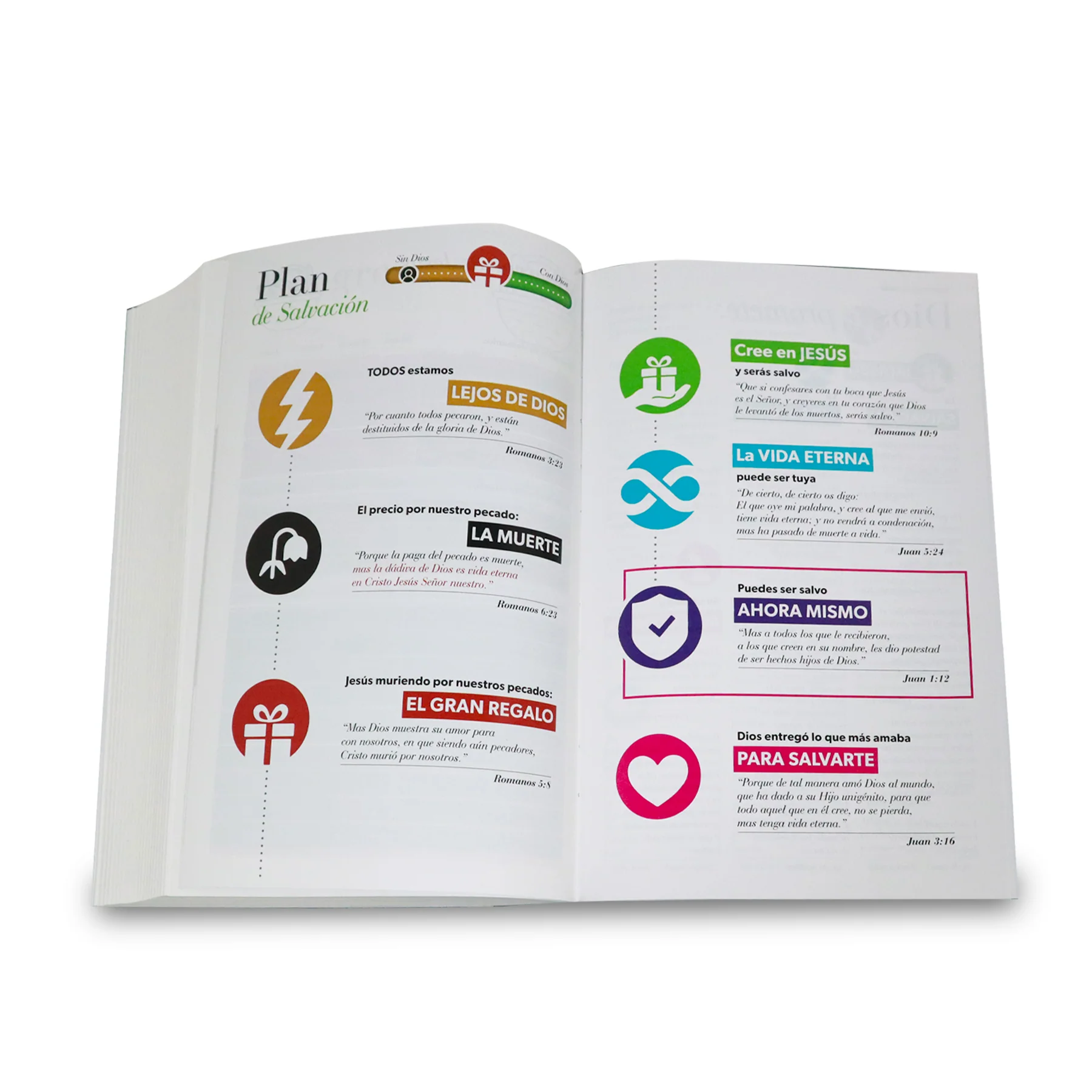 BIBLIA REINA VALERA 1960 GIGANTE LILA/LILA CON FLORES