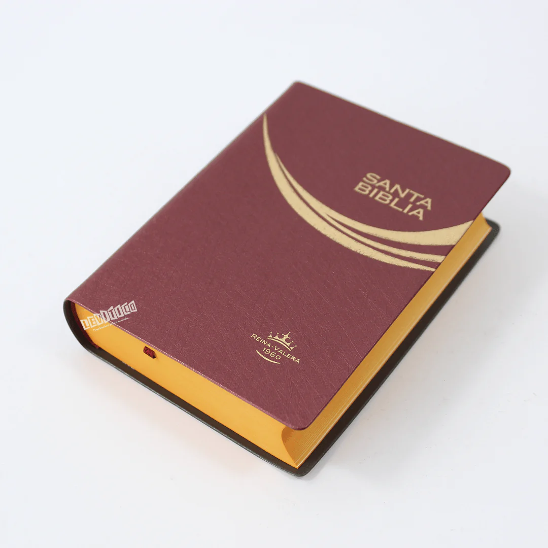 Santa Biblia RVR 1960 Bolsillo String