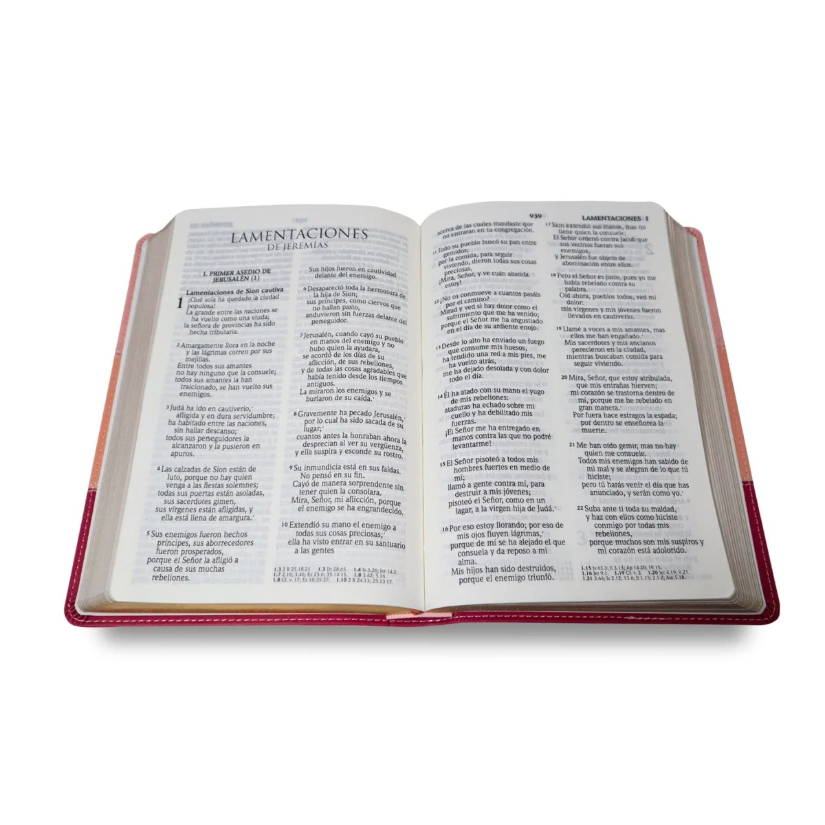 SANTA BIBLIA REINA VALERA 2020       (4 colores)