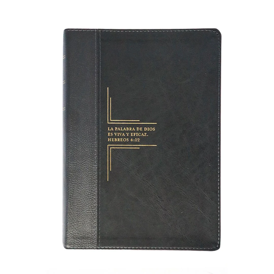 BIBLIA DE ESTUDIO RV1960 DIARIO VIVIR