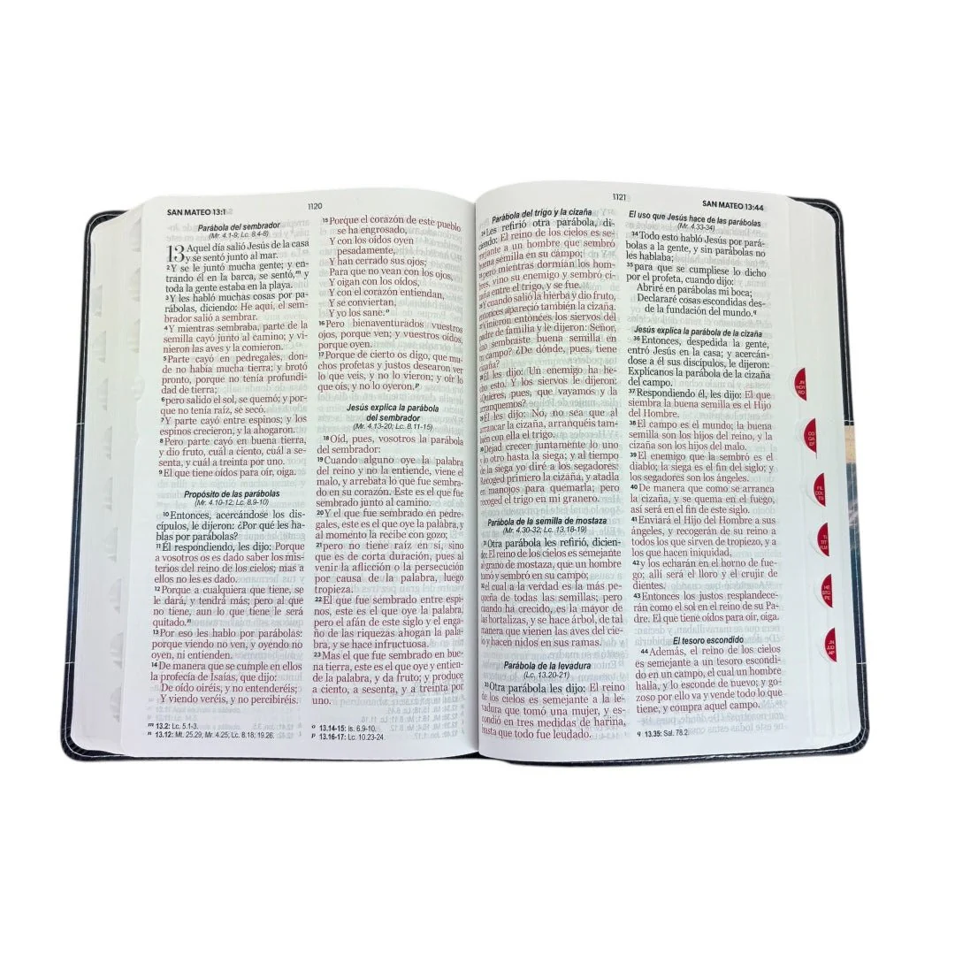 BIBLIA REINA VALERA 1960 LETRA GRANDE IMITACION PIEL CON INIDCE DISEÑO AGUILA/NEGRO