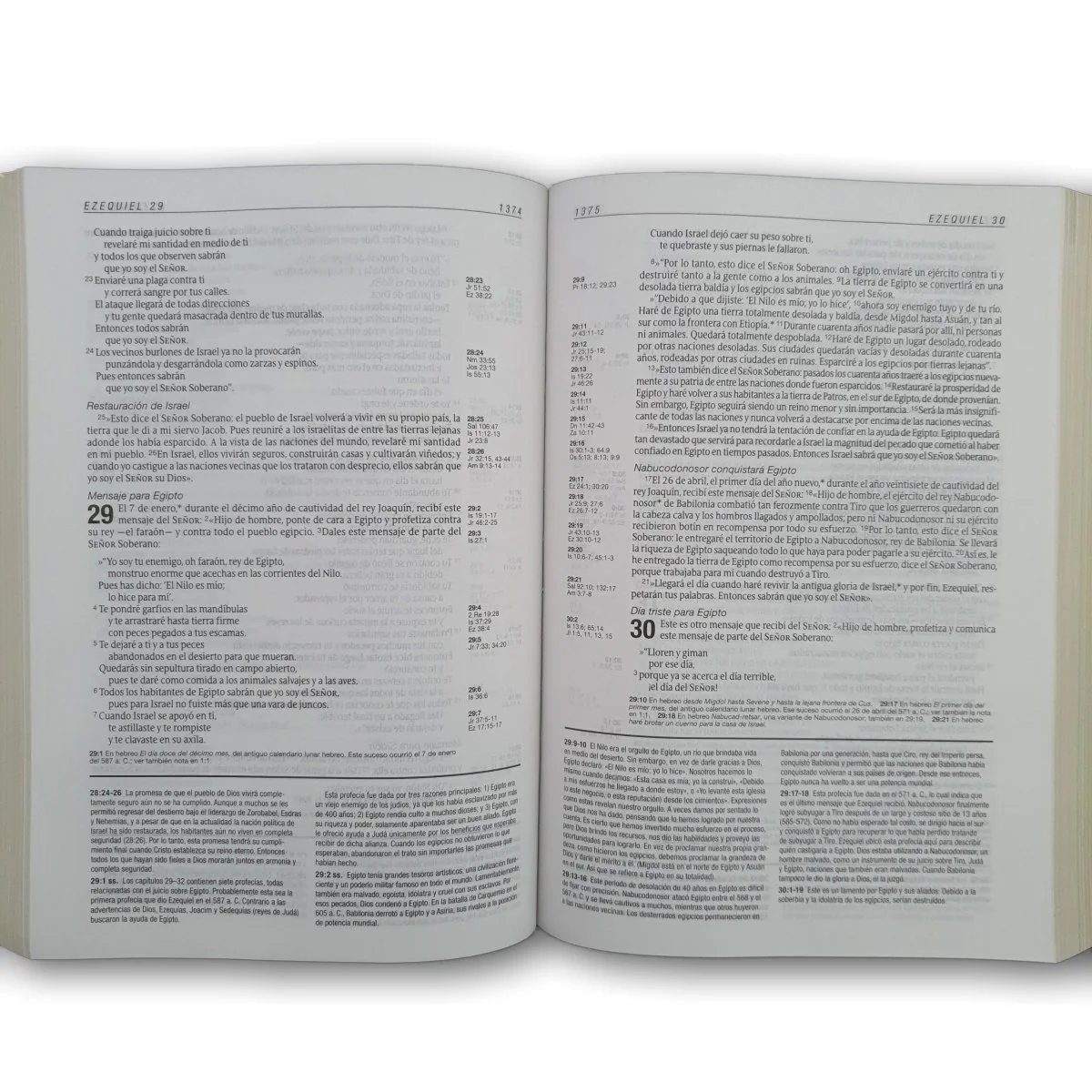 Biblia de estudio Diario Vivir NTV diseño árbol