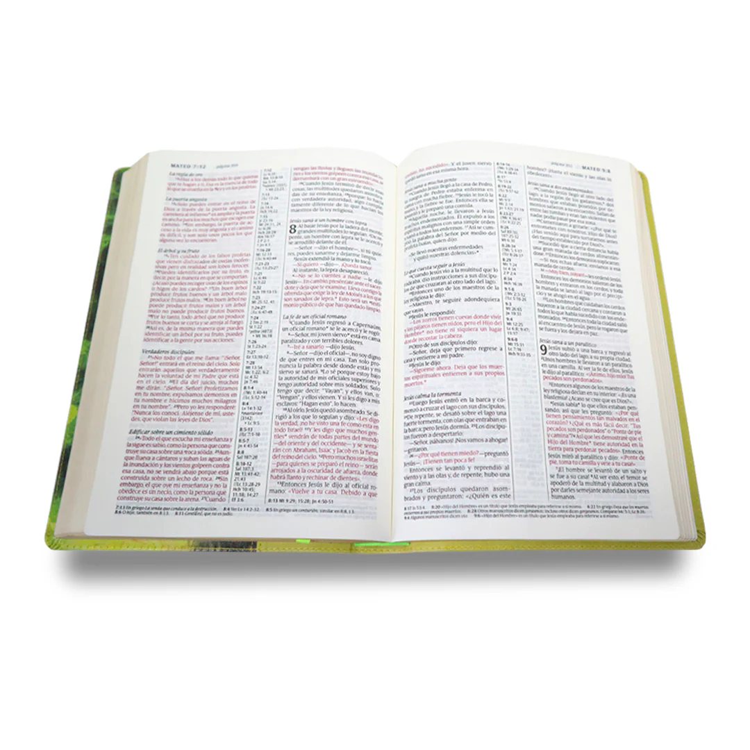 SANTA BIBLIA NTV ULTRAFINA LETRA GRANDE SENTIPIEL VERDE