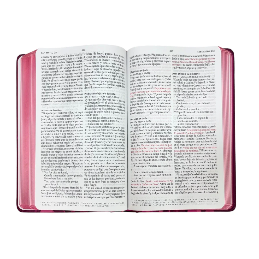 BIBLIA REINA VALERA 1960 LETRA GRANDE TAPA DURA LEON DE JUDA ROSA