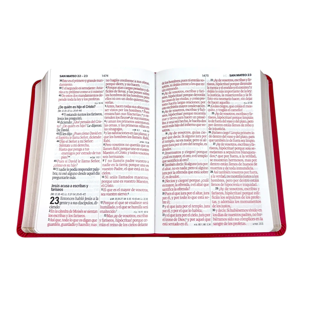 BIBLIA REINA VALERA 1960 LETRA GRANDE COMPACTA IMITACION PIEL/ MARCO