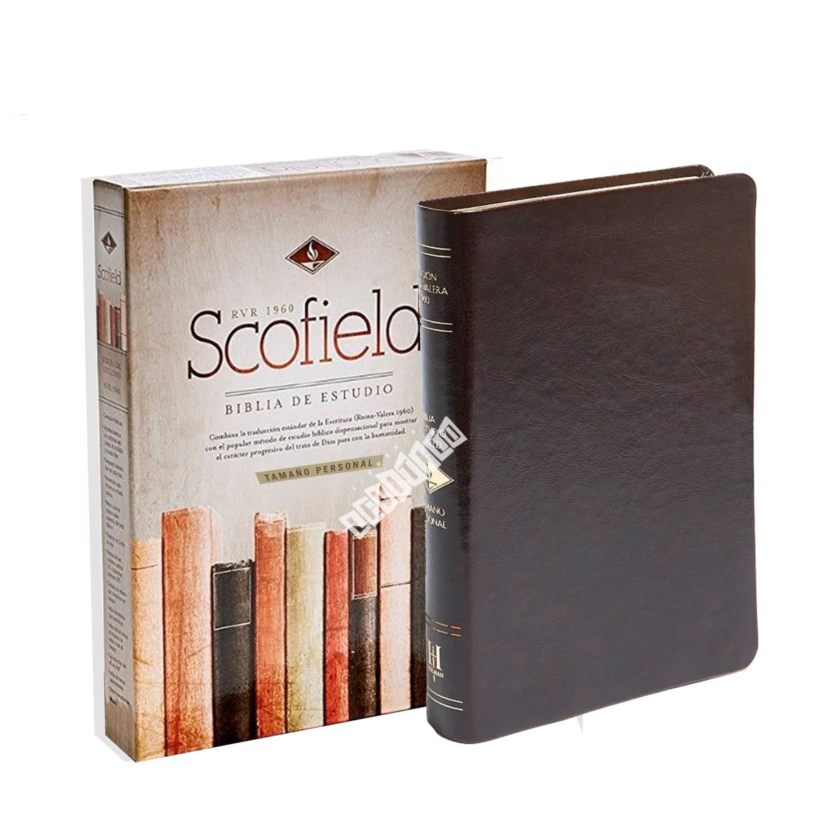 Biblia de Estudio Scofield RVR1960 (Tamaño personal)