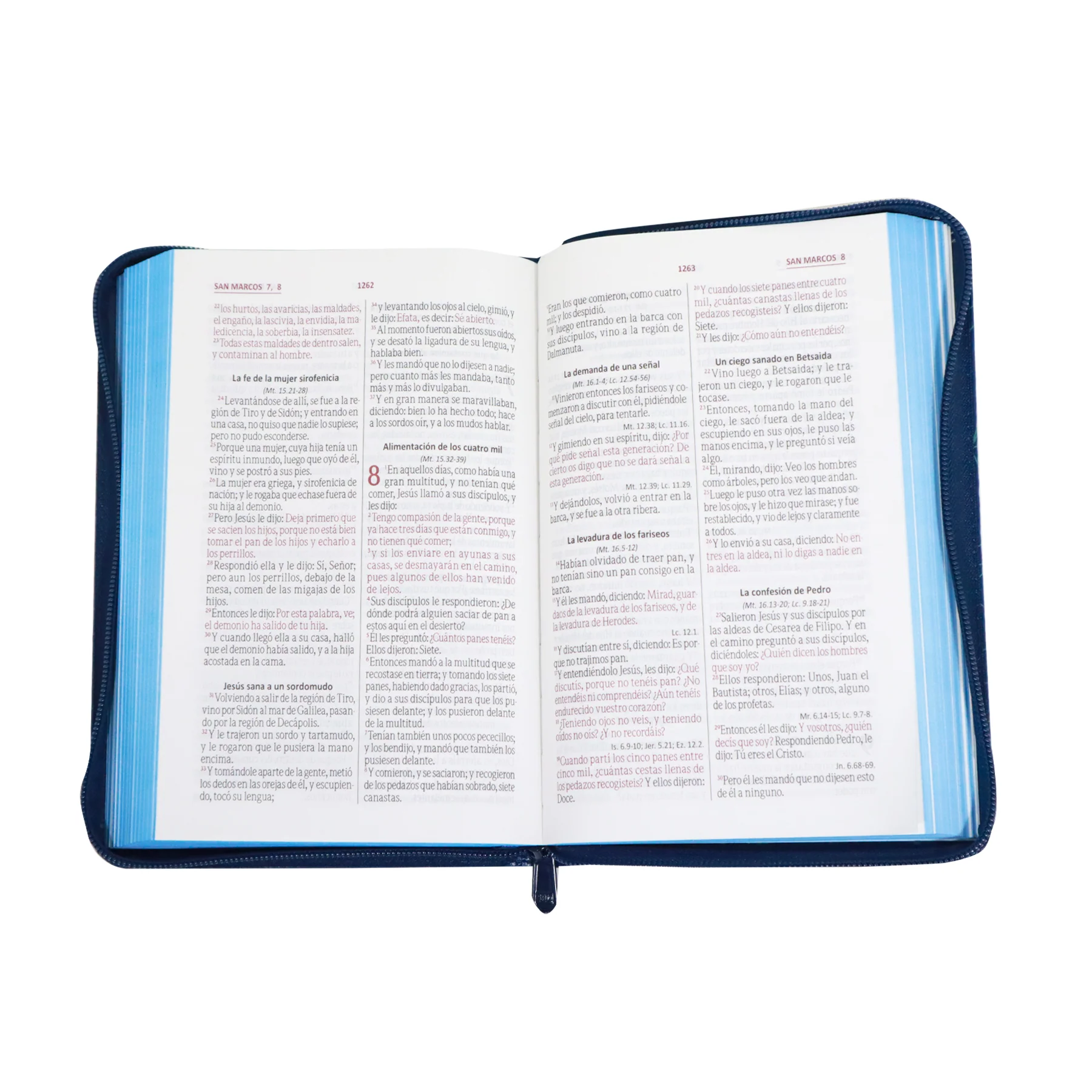 BIBLIA REINA VALERA 1960 LETRA GRANDE MANUAL AZUL/ CIERRE