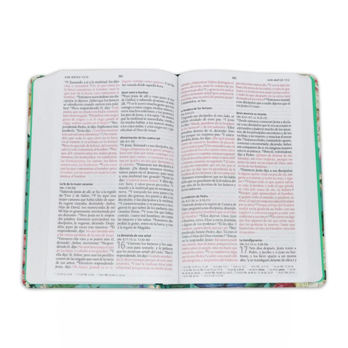 BIBLIA REINA VALERA 1960 LETRA GRANDE JARDÍN FLORES