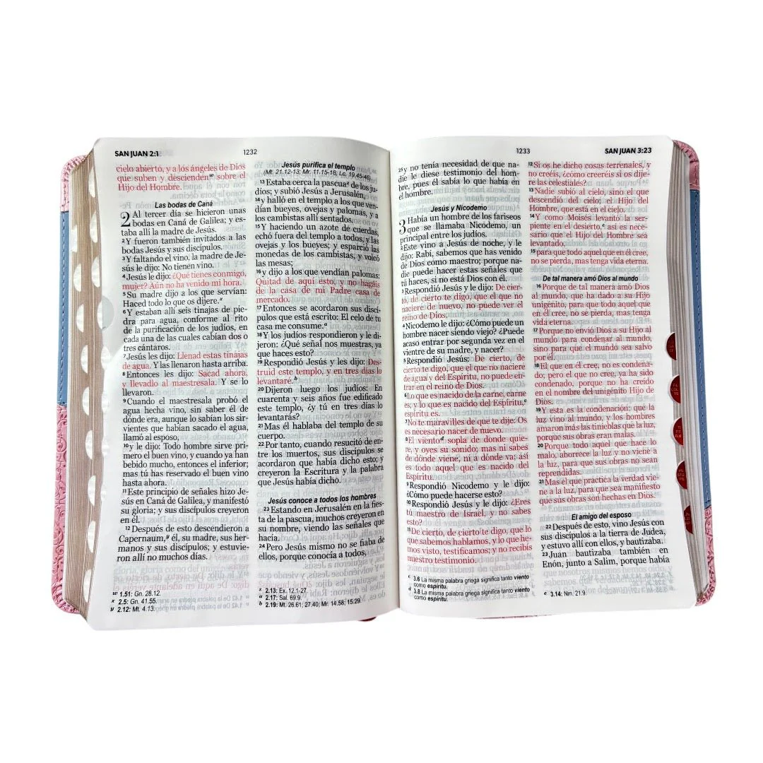 BIBLIA REINA VALERA 1960 LETRA GRANDE BITONO ROSA/ AZUL INDICE