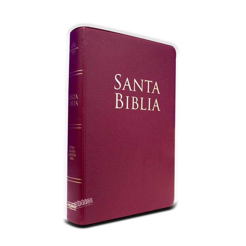 Biblia Reina Valera 1960  Letra Grande Tamaño Manual c/Referencias vinil