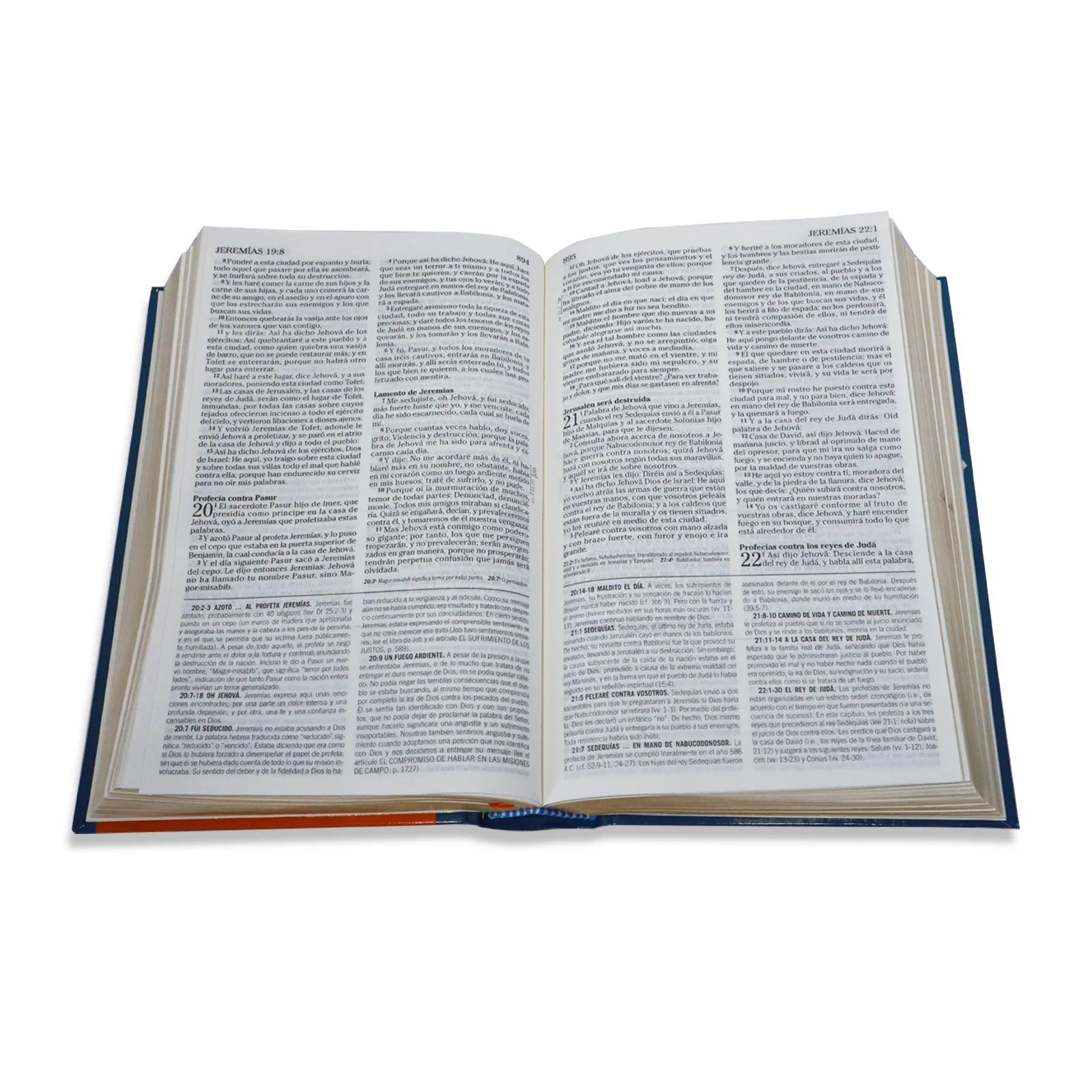 BIBLIA DE ESTUDIO RV1960 DE LA VIDA PLENA PARA JOVENES/TAPA DURA