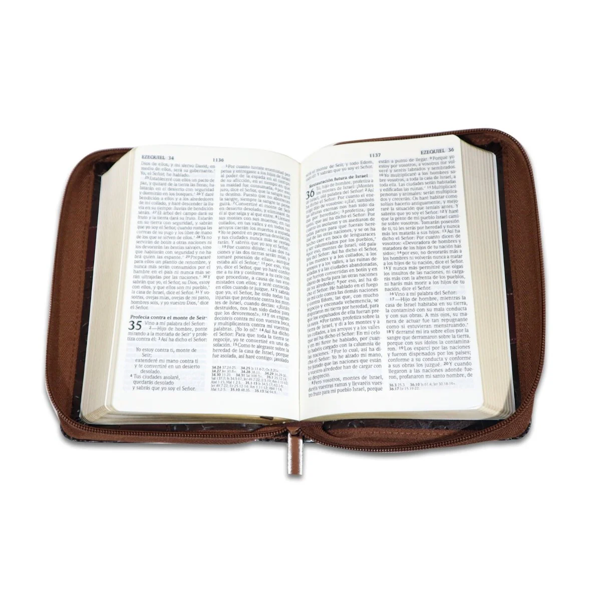 BIBLIA REINA VALERA 2020 LETRA GRANDE C/CIERRE