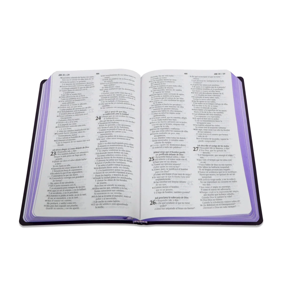 Santa Biblia Reina Valera 1960 Imitación Piel