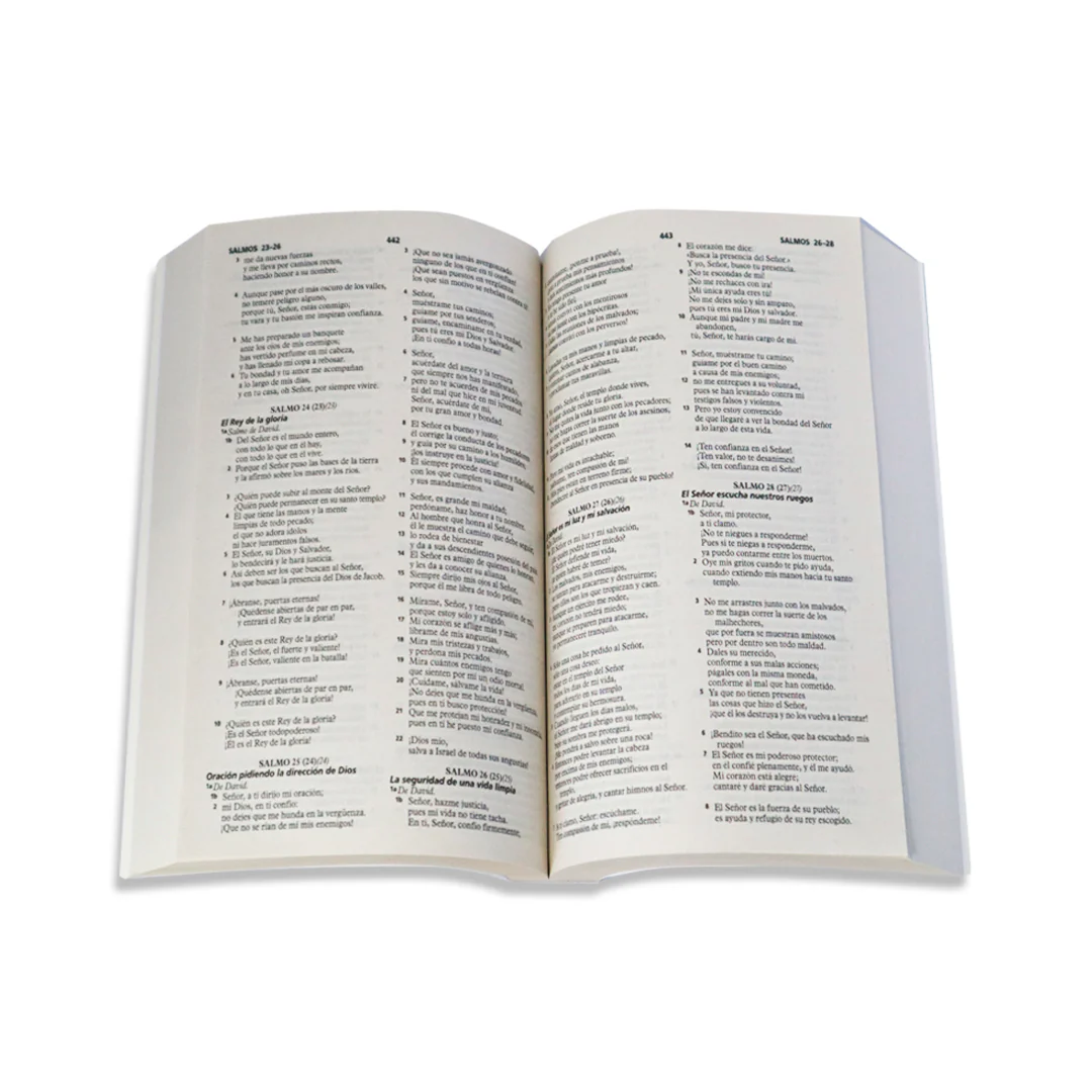 BIBLIA DIOS HABLA HOY /RUSTICA MARRON