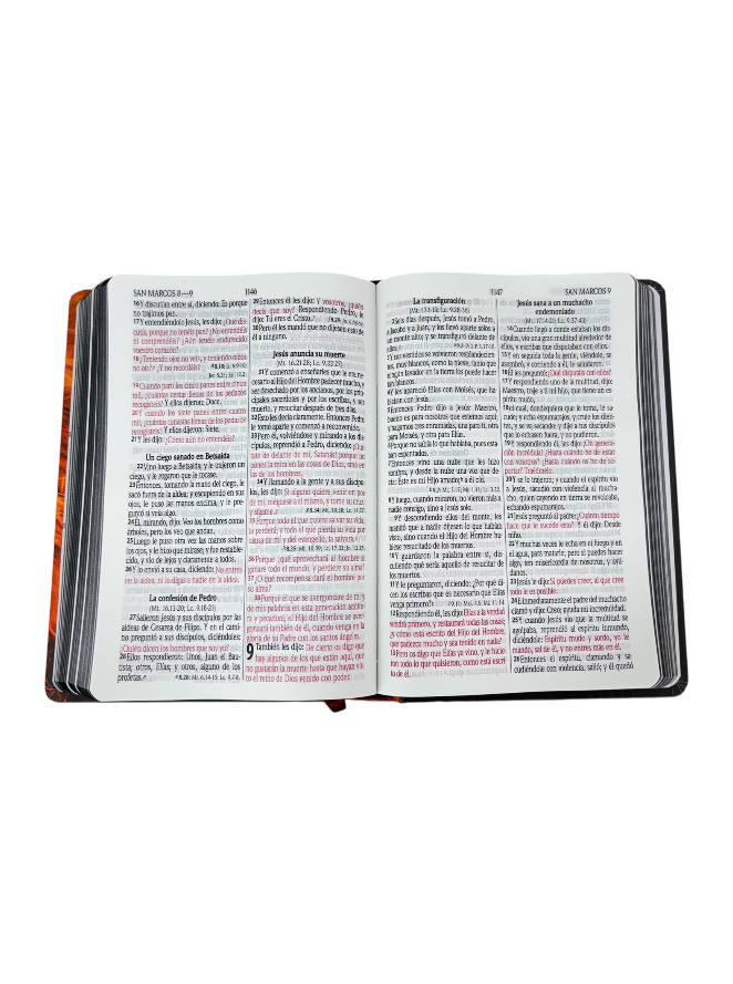 BIBLIA REINA VALERA 1960 LETRA GRANDE TAPA DURA LEON NARANJA