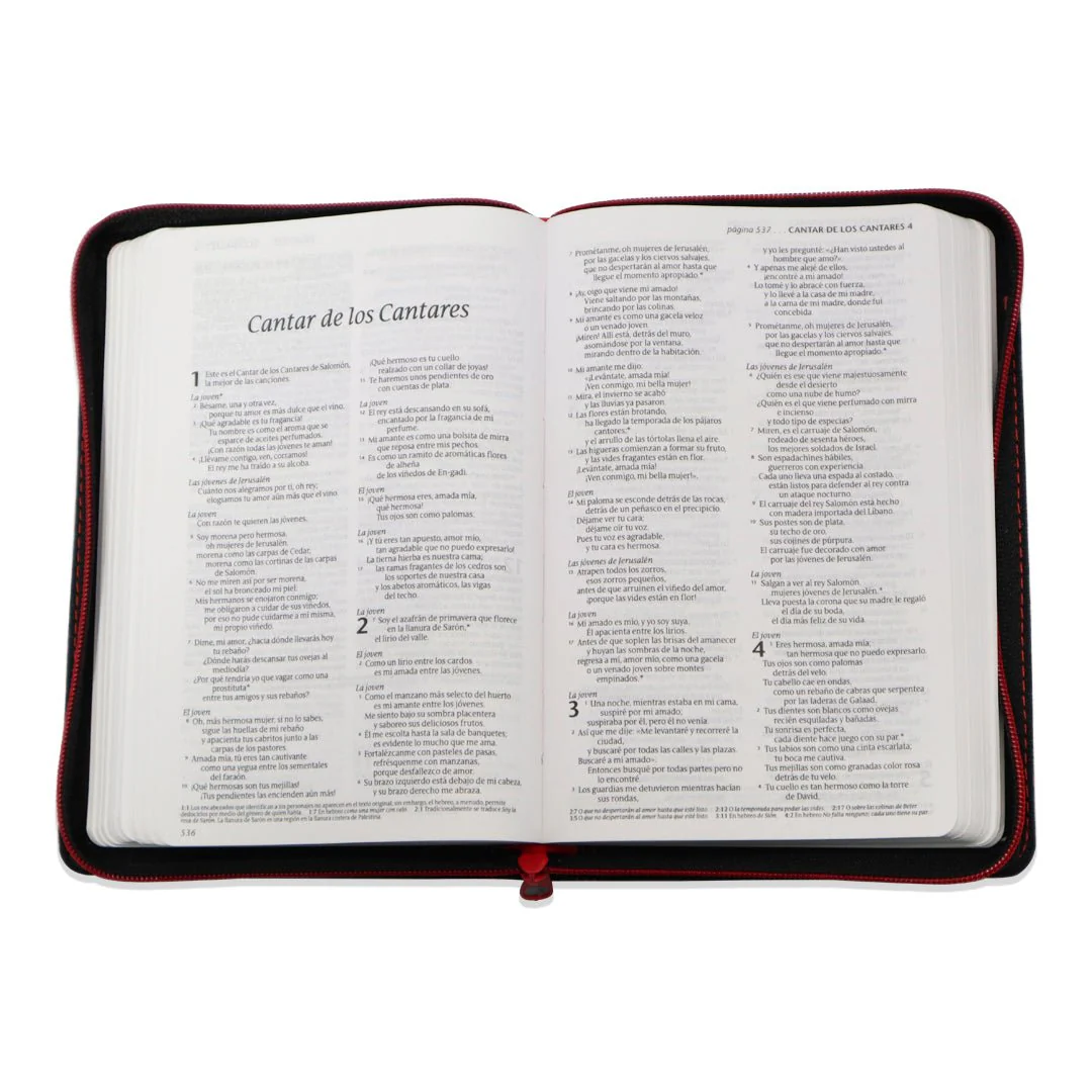 Santa Biblia NTV, Edición compacta SentiPiel, Negro/Carmesí
