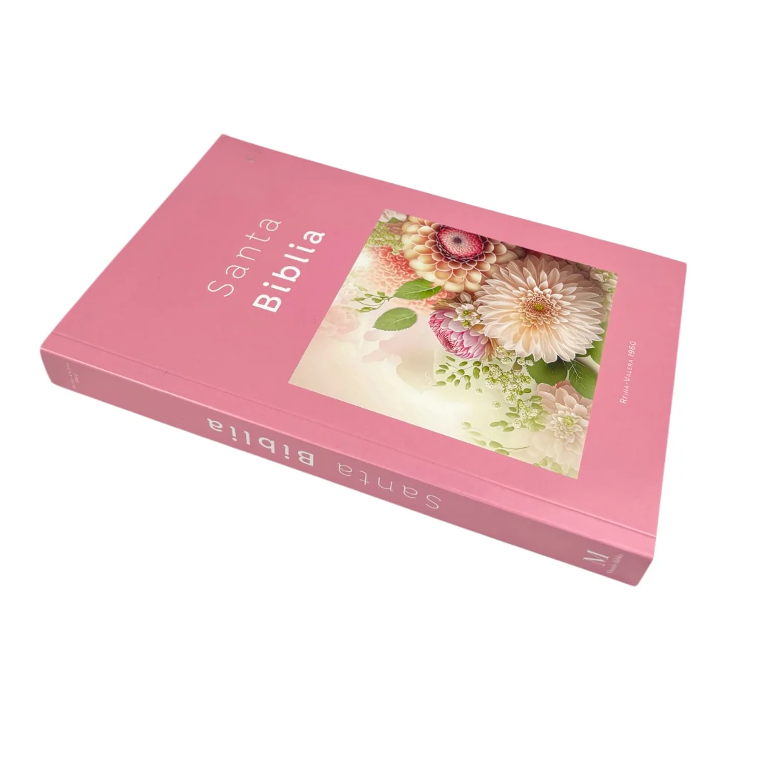 BIBLIA REINA VALERA 1960 ECONOMICA RUSTICA DISEÑOS