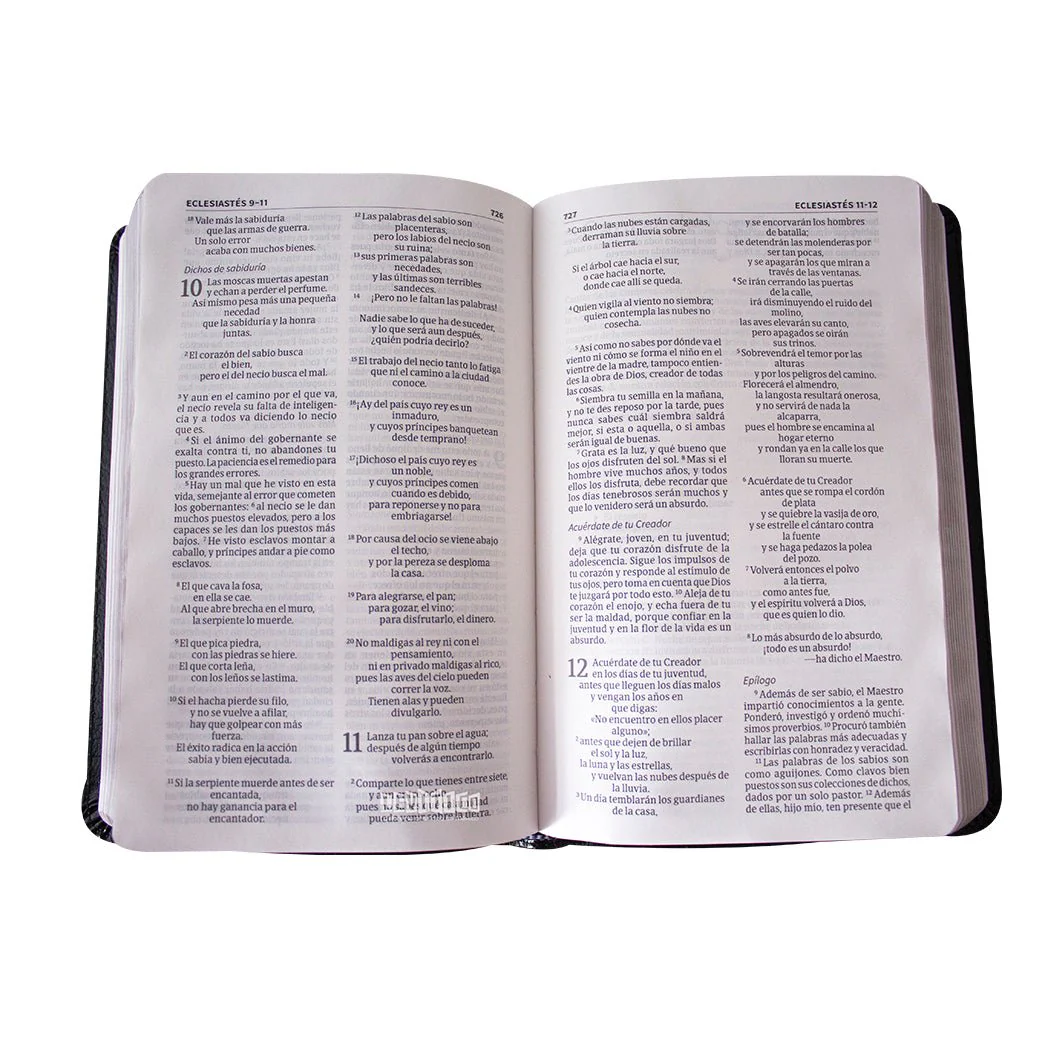 Biblia NVI Compacta Letra Grande, Piel fabricada