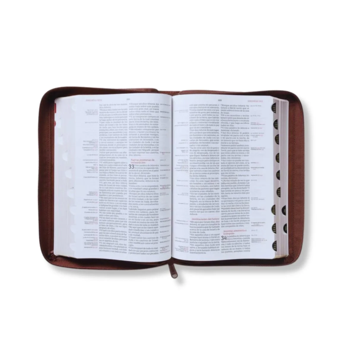 Biblia de Referencia Thompson RVR Café con Cierre E Índice