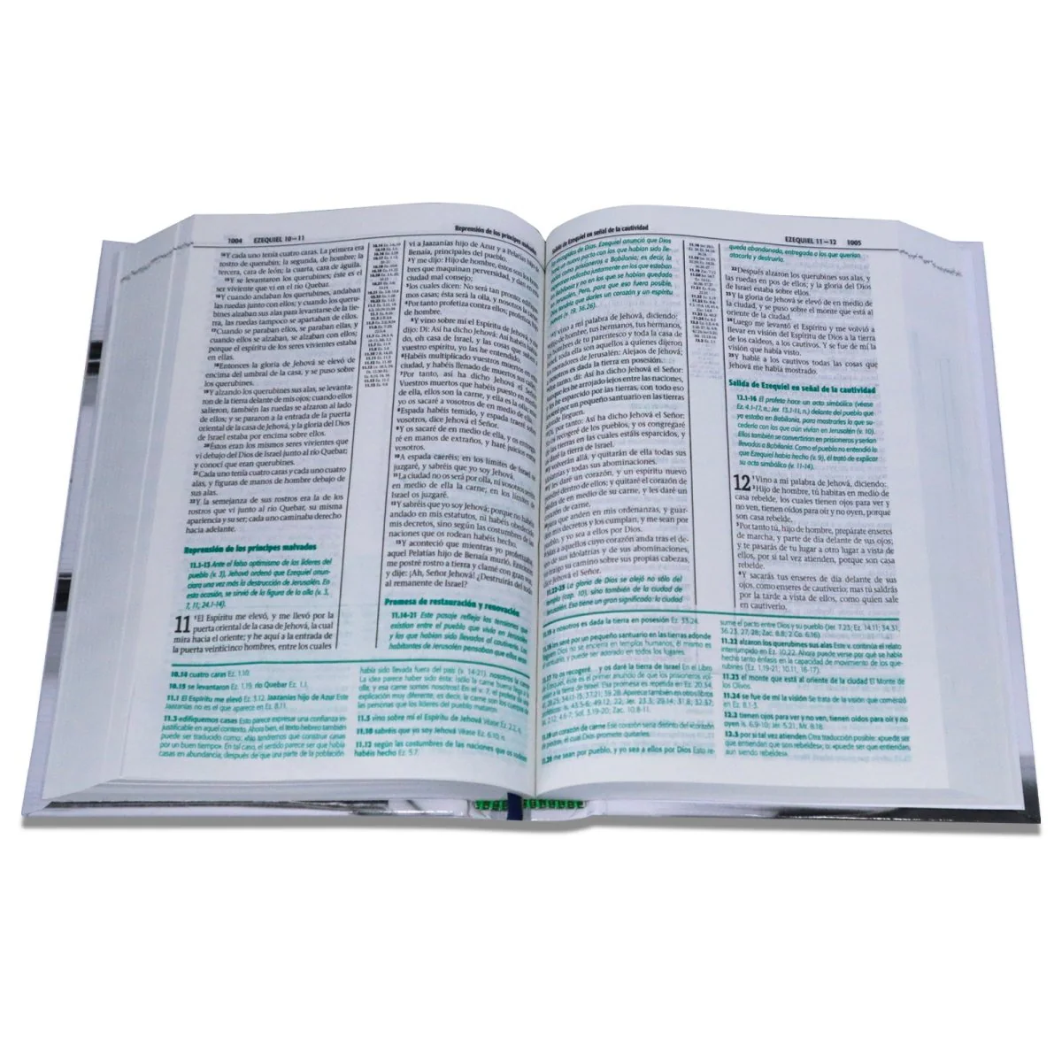 BIBLIA DE ESTUDIO RV1960 ESQUEMATIZADA TAPA DURA