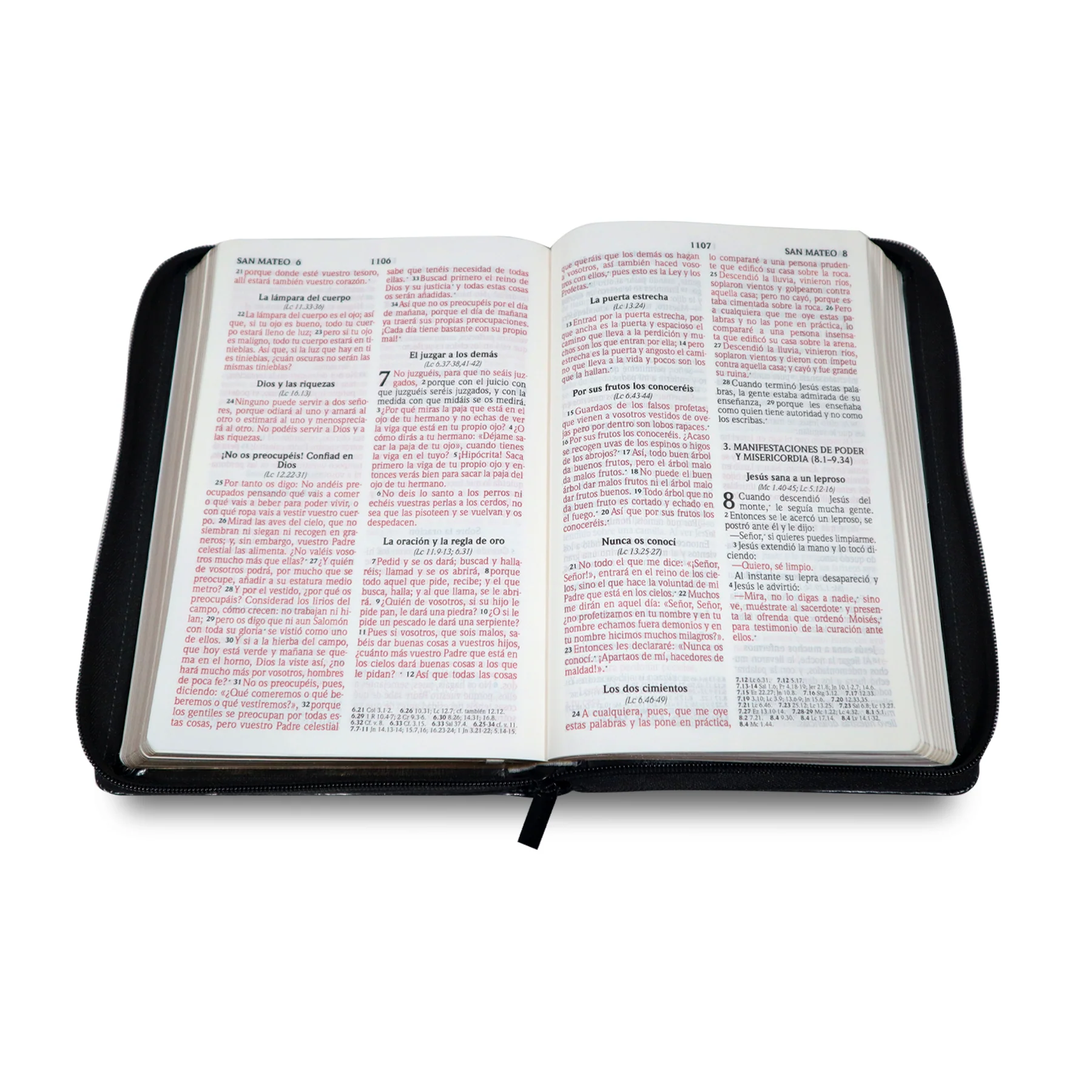 SANTA BIBLIA REINA VALERA 2020