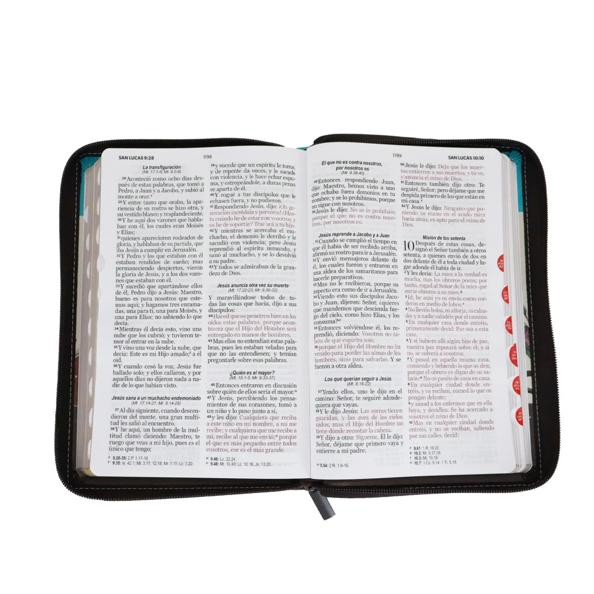 BIBLIA REINA VALERA 1960 LETRA GRANDE MANUAL C/CIERRE INIDCE FANTASIA MARRON