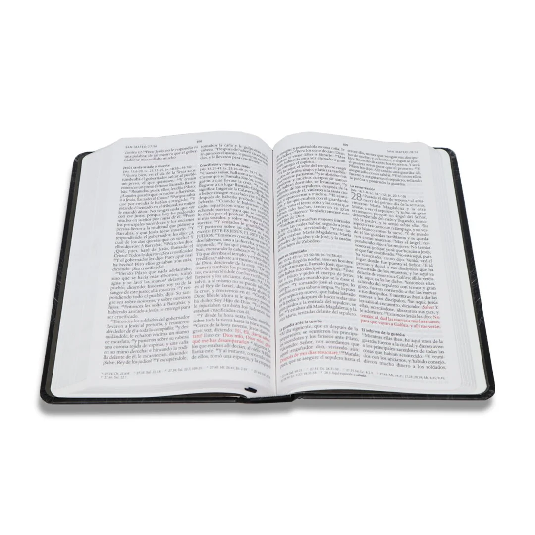 BIBLIA RV1960 LEON DE JUDA TAPA DURA