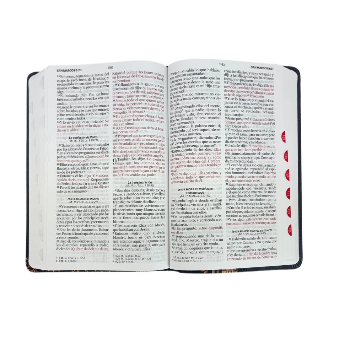 BIBLIA REINA VALERA 1960 LETRA GRANDE TAMAÑO MANUAL NEGRO C/INDICE  TRIGO