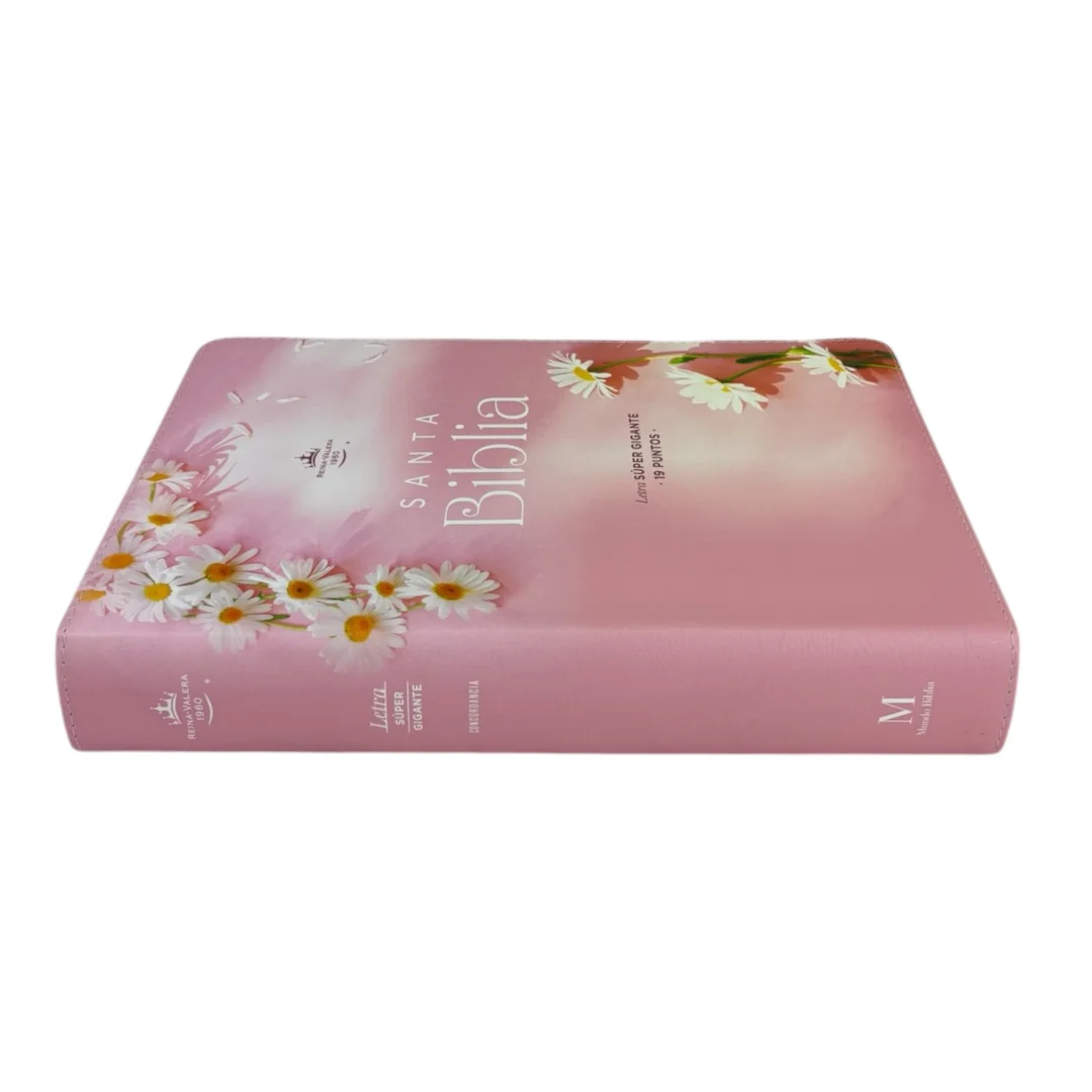 BIBLIA LETRA SÚPER GIGANTE REINA VALERA 1960 MUJER VIRTUOSA CANTO PINTADO ROSA