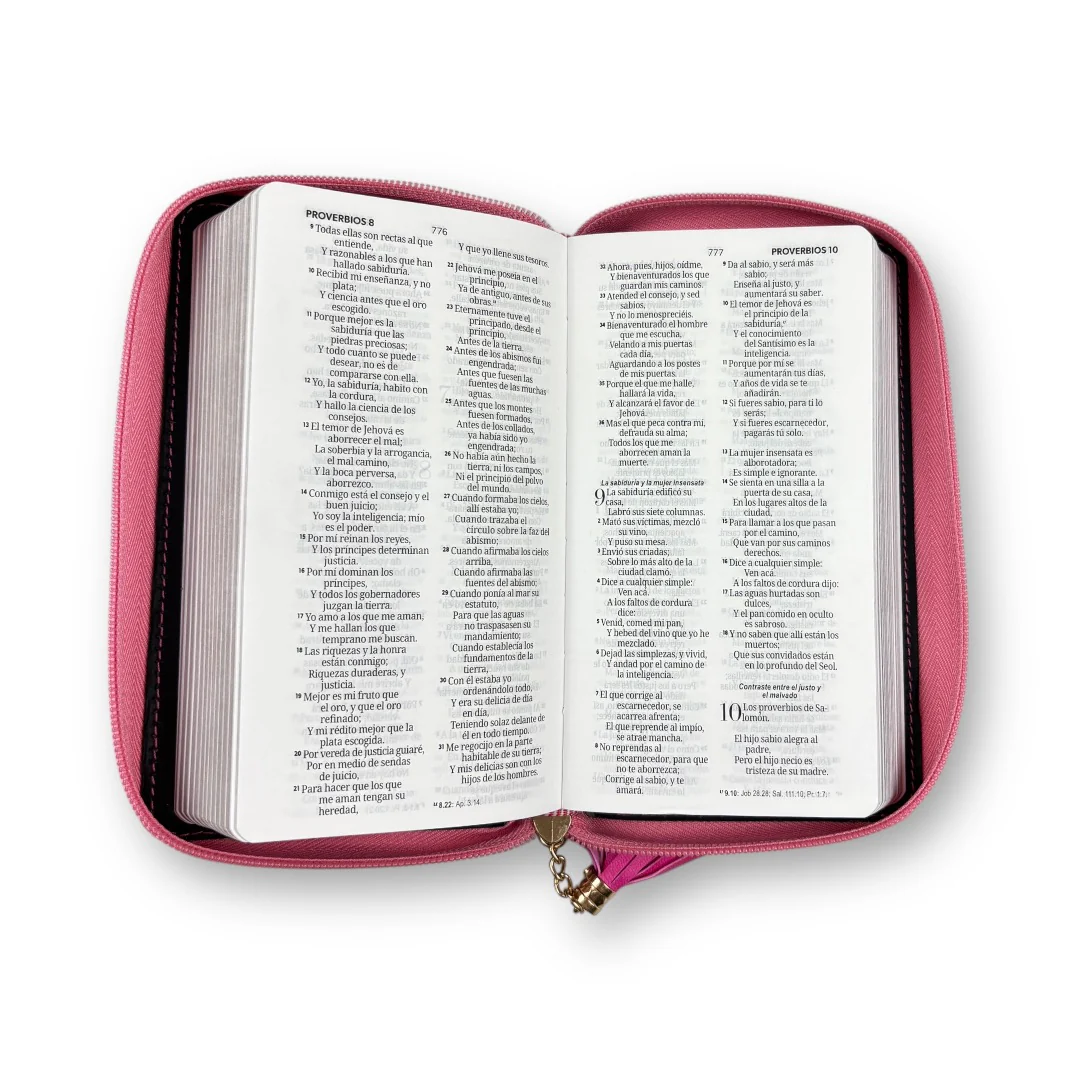 BIBLIA CHEQUERA REINA VALERA 1960 ROSA/ FUCSIA CIERRE